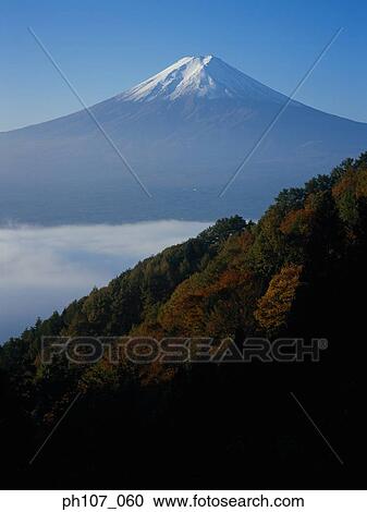 Japan, Mt Fuji, lush foliage in foreground View Large Photo Image Stock Image - Japan, Mt Fuji, lush foliage in foreground . Fotosearch