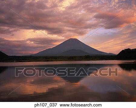 Japan, Mt Fuji, reflected in lake View Large Photo Image Stock Photo - Japan, Mt Fuji, reflected in lake . Fotosearch