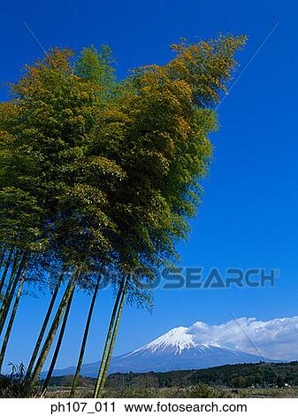 Stock Image - Mt. Fuji, Japan. Fotosearch