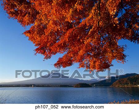 Stock Image - Mt. Fuji, Japan. Fotosearch