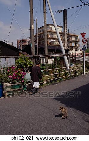 Stock Image - Japanese man walking in a small lane, rear view. Fotosearch