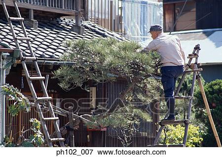 Stock Photo - Matured Japanese man on ladder, repairing roof. Fotosearch