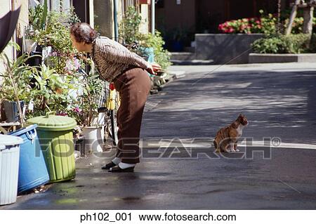 Matured Japanese woman looking at potted plants View Large Photo Image Stock Image - Matured Japanese woman looking at potted plants. Fotosearch