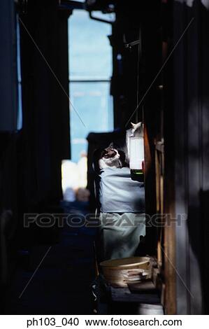 A narrow alley View Large Photo Image Stock Image - A narrow alley. Fotosearch