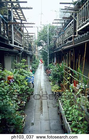 Potted plants arranged the sides of a small alley View Large Photo Image Stock Photo - Potted plants arranged the sides of a small alley. Fotosearch