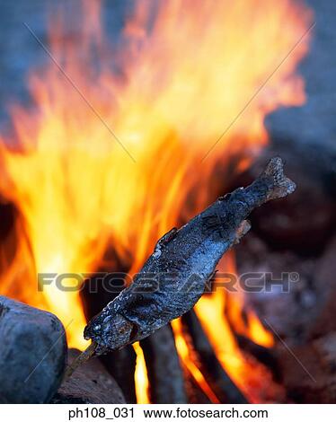 Barbeque fish over fire View Large Photo Image Stock Image - Barbeque fish over fire. Fotosearch