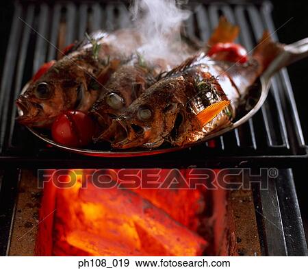Fish over charcoal fire View Large Photo Image Stock Photo - Fish over charcoal fire. Fotosearch