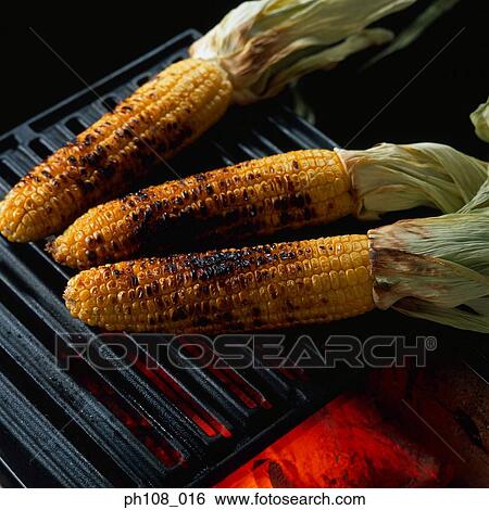 Grilled sweet corns over charcoal fire View Large Photo Image Stock Photograph - Grilled sweet corns over charcoal fire. Fotosearch
