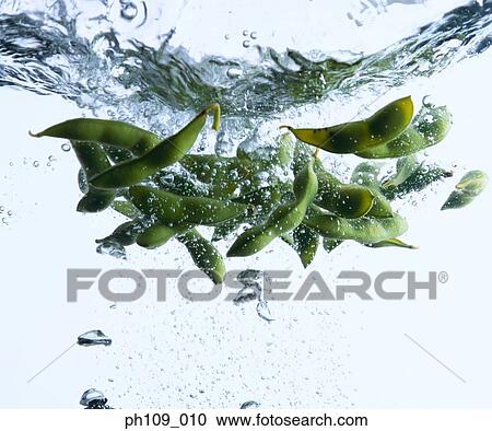 Edamame in boiling water View Large Photo Image Stock Image - Edamame in boiling water. Fotosearch