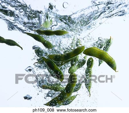 Edamame in boiling water View Large Photo Image Stock Photo - Edamame in boiling water. Fotosearch