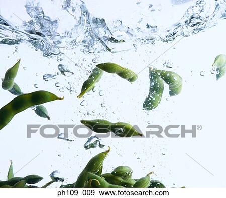 Stock Photo - Edamame in boiling water. Fotosearch