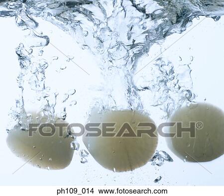 Reddish slices in boiling water View Large Photo Image Picture - Reddish slices in boiling water. Fotosearch