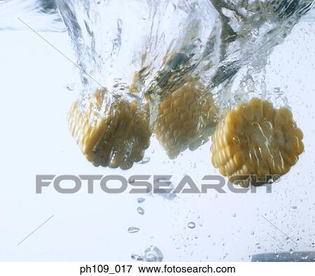 Sweet corn slices in boiling water View Large Photo Image Stock Photo - Sweet corn slices in boiling water. Fotosearch