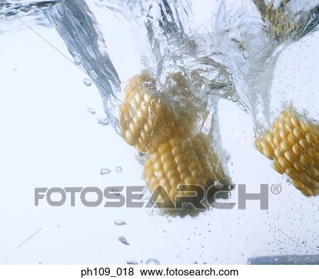 Sweet corn slices in boiling water View Large Photo Image Stock Photo - Sweet corn slices in boiling water. Fotosearch