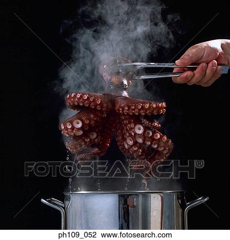Taking whole octopus from Pot View Large Photo Image Stock Image - Taking whole octopus from Pot . Fotosearch