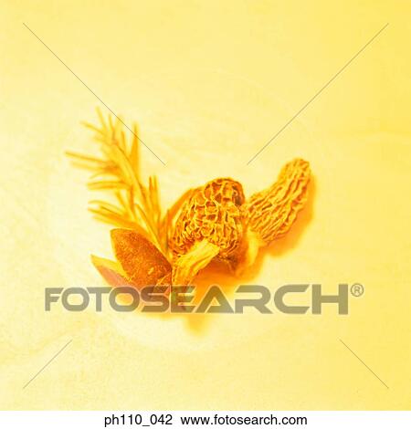 Dried prunes View Large Photo Image Stock Image - Dried prunes. Fotosearch