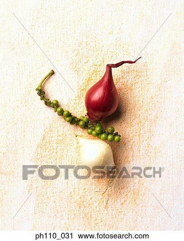 Onions View Large Photo Image Stock Image - Onions. Fotosearch