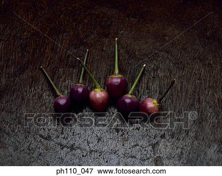 Purple bell peppers View Large Photo Image Stock Photo - Purple bell peppers. Fotosearch
