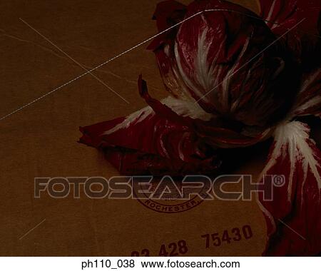 Stock Photo - Red cabbage. Fotosearch