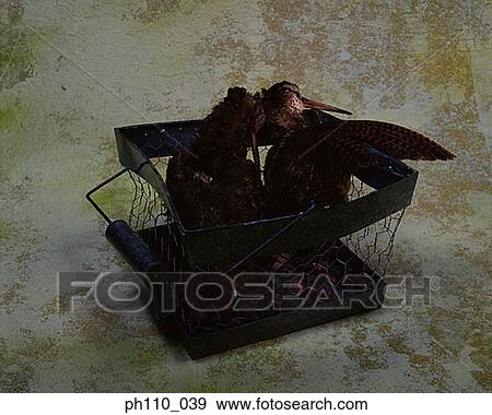 Stock Photo - Two birds in basket. Fotosearch