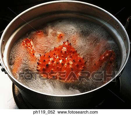 Stock Image - Boiling crab in pot. Fotosearch