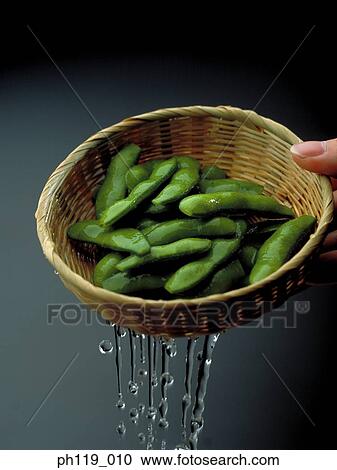 Edamame in colander, draining water View Large Photo Image Stock Image - Edamame in colander, draining water. Fotosearch
