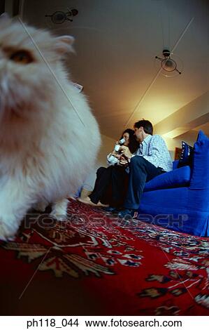 Couple relaxing on sofa, cat in foreground View Large Photo Image Picture - Couple relaxing on sofa, cat in foreground . Fotosearch
