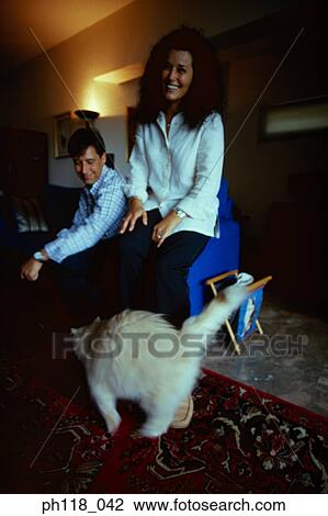 Couple relaxing on sofa, cat seeking attention View Large Photo Image Stock Image - Couple relaxing on sofa, cat seeking attention. Fotosearch
