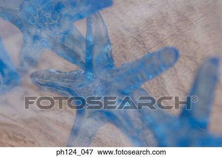 Stock Photo - Star-shaped ornaments, close-up. Fotosearch