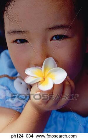 Young Asian girl holding a flower head, close-up View Large Photo Image Picture - Young Asian girl holding a flower head, close-up. Fotosearch