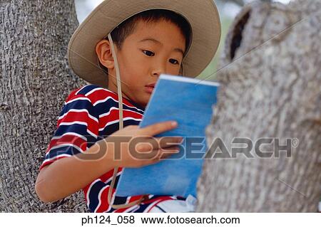 Stock Photo - Young Asian girl reading on tree trunk. Fotosearch