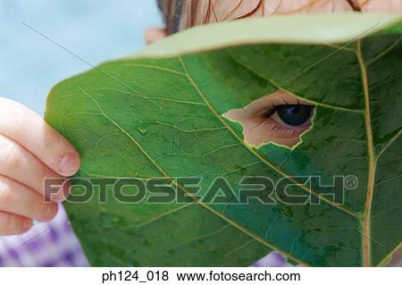 Young boy looking through a hole on a leaf View Large Photo Image Stock Photo - Young boy looking through a hole on a leaf. Fotosearch