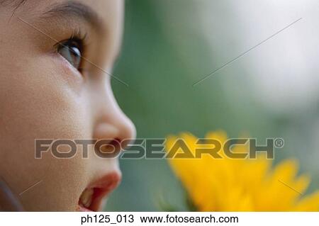Portrait of a young girl, close-up View Large Photo Image Stock Image - Portrait of a young girl, close-up. Fotosearch