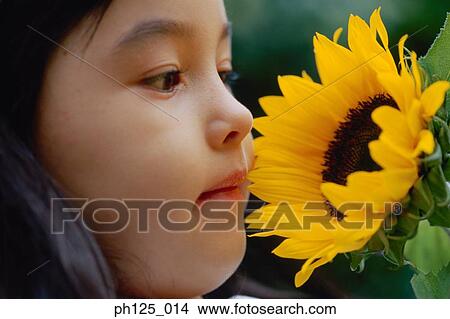 Portrait of a young girl with sunflower View Large Photo Image Picture - Portrait of a young girl with sunflower. Fotosearch