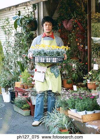 Male florist carrying potted flowers View Large Photo Image Stock Photography - Male florist carrying potted flowers. Fotosearch