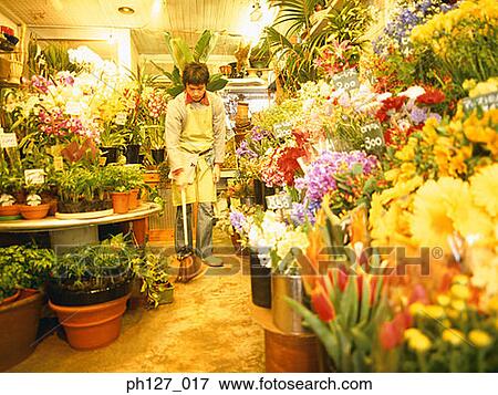 Male florist sweeping floor View Large Photo Image Stock Photo - Male florist sweeping floor. Fotosearch