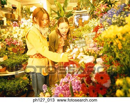Young women in a florist View Large Photo Image Stock Image - Young women in a florist. Fotosearch