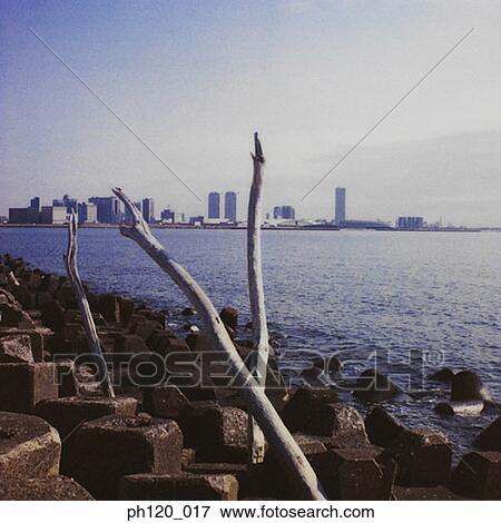 Dead branches sticking out of piles of rocks by the sea View Large Photo Image Stock Photo - Dead branches sticking out of piles of rocks by the sea. Fotosearch