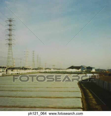 Picture - Electrical pylons and power lines in suburban estate. Fotosearch