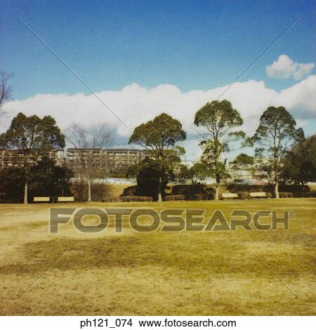 Field of dry grass, estate and trees in background View Large Photo Image Picture - Field of dry grass, estate and trees in background. Fotosearch