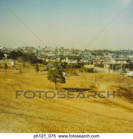 Field of dry grass, estate and trees in background View Large Photo Image Stock Photography - Field of dry grass, estate and trees in background. Fotosearch