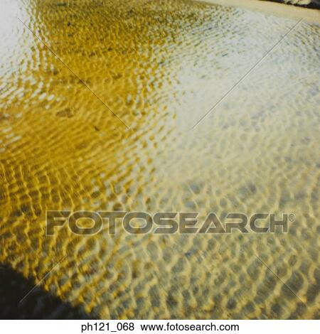 Stock Photo - Surface of water in pond. Fotosearch