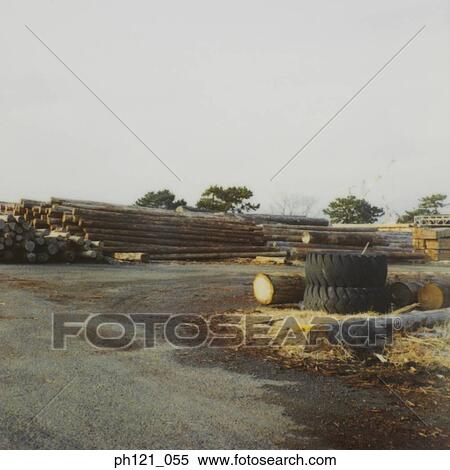 Wooden logs stacked in construction site View Large Photo Image Stock Photography - Wooden logs stacked in construction site. Fotosearch