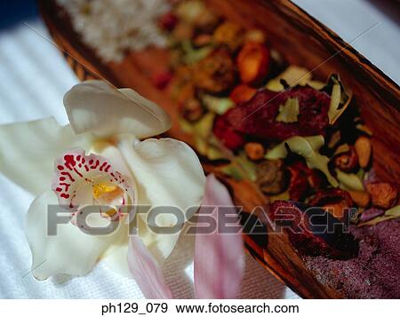 Variety of spa therapy herbs and spices View Large Photo Image Stock Photo - Variety of spa therapy herbs and spices. Fotosearch