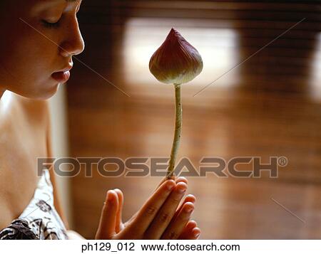 Woman holding a stalk of lily flower bud, eyes closed View Large Photo Image Stock Image - Woman holding a stalk of lily flower bud, eyes closed. Fotosearch