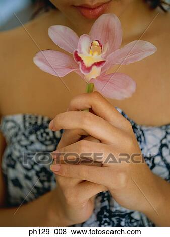 Woman holding a stalk of orchid flower View Large Photo Image Stock Photo - Woman holding a stalk of orchid flower. Fotosearch