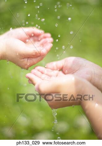 Two pair of hands catching water drops View Large Photo Image Stock Photo - Two pair of hands catching water drops. Fotosearch