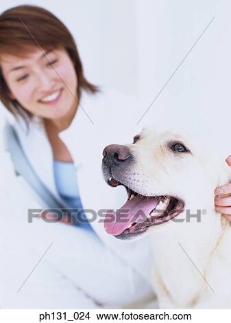 Asian Woman holding a Laptop and dog View Large Photo Image Picture - Asian Woman holding a Laptop and dog. Fotosearch