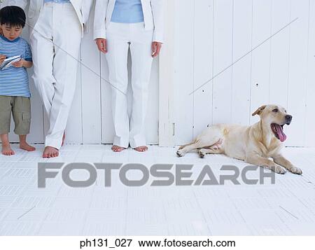 View of a dog with his masters family View Large Photo Image Stock Photo - View of a dog with his masters family. Fotosearch
