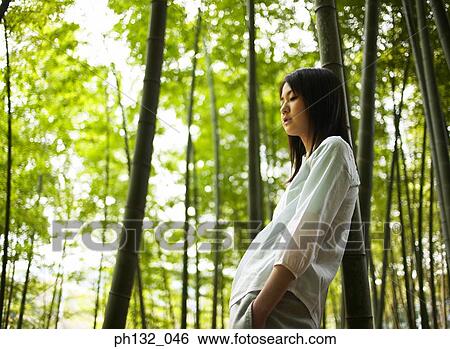 Stock Photograph - Young woman leaning against a bamboo tree. Fotosearch